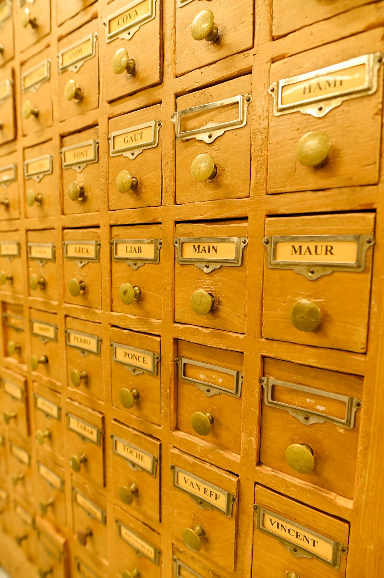 Catalogue de la bibliothèque